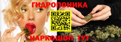 apvp Кунгур
