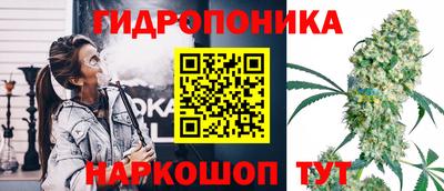 apvp Кунгур